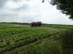 gewasbescherming